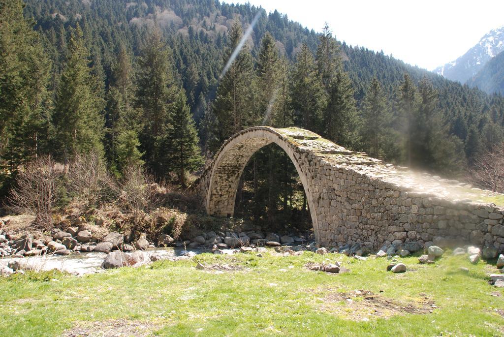 Ayder Umit Hotel Экстерьер фото